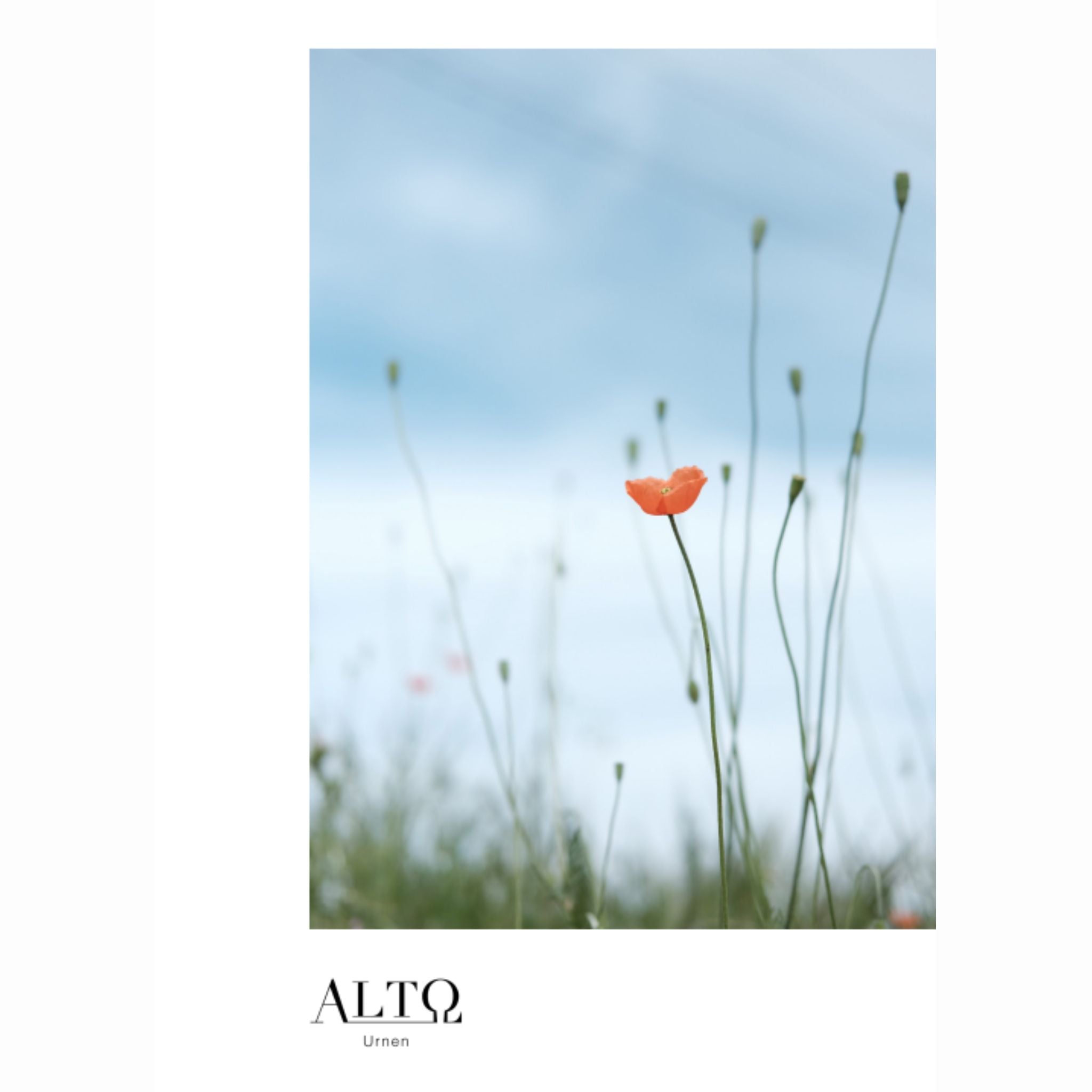 Alto Katalog Digital Lavabis GmbH