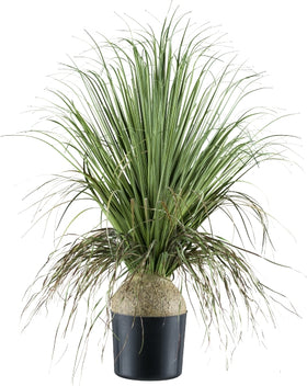 Beaucarnea Kunstpflanze deko