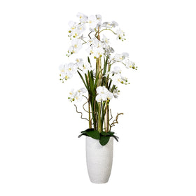 Orchidee Kunstpflanze deko - 0