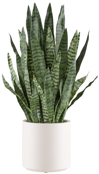 Sansevieria zeylanica Kunstpflanze deko