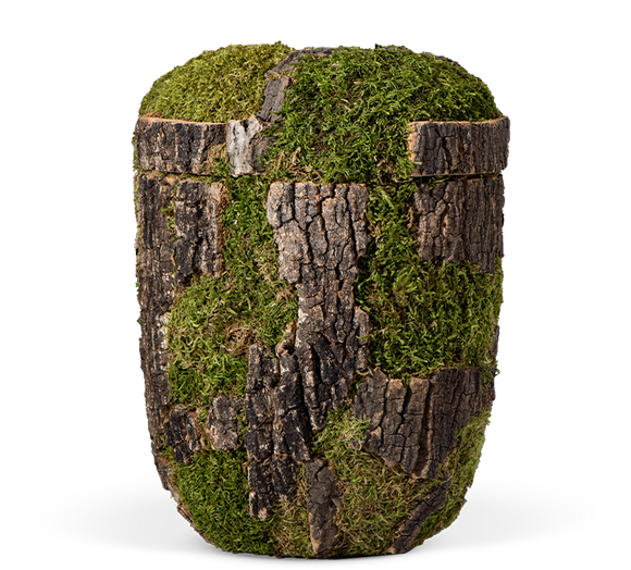 Urna ecológica Heiso Classic de corteza de árbol