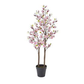 Magnolienstrauch