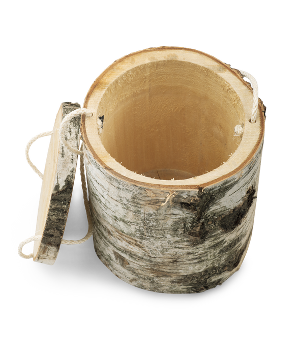 Völsing Urne Edition Baumurne Holz