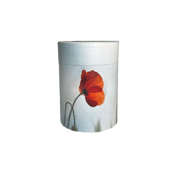 Arcum Papier Urne