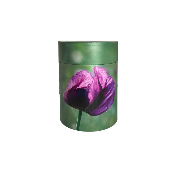 Arcum Papier Urne