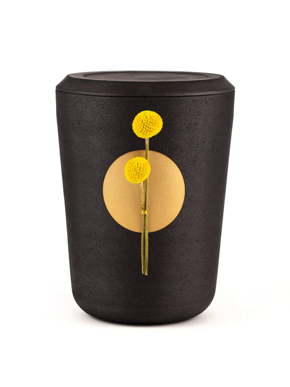 Kohleurne Testpaket - Ausstellungsurne