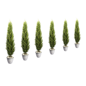 Thuja smaragd Kunstpflanze deko 6er Set