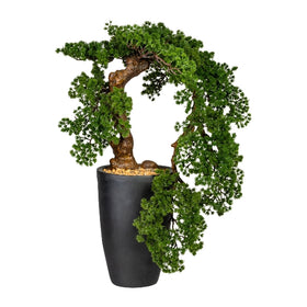 Bonsai Lärche Kunstpflanze deko