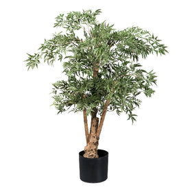 Aralia Ming Polyscias Kunstpflanze deko