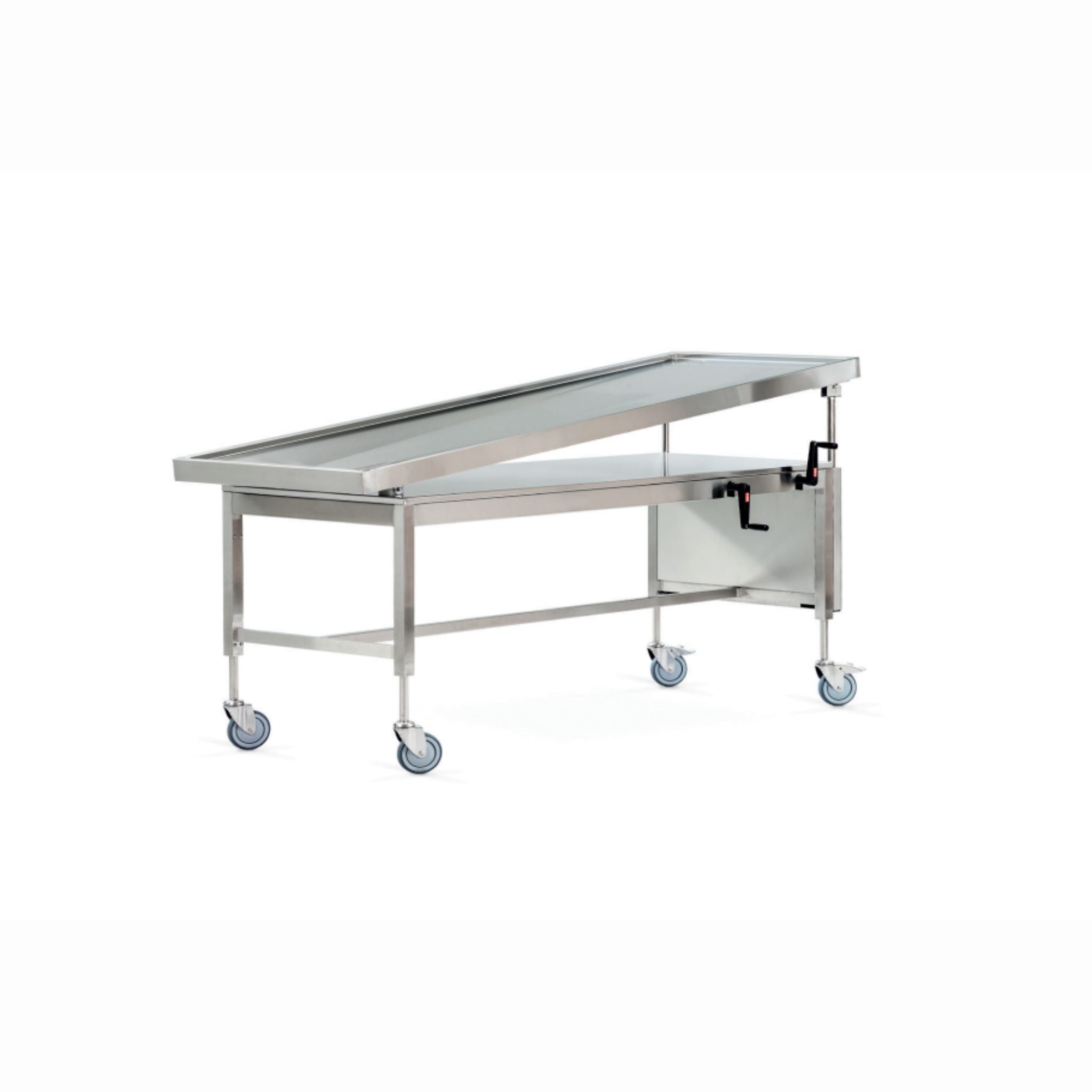 Height-adjustable and tiltable wash and dissection table