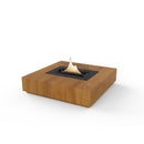 Fuoco da tavolo di agrifoglio-1