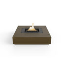 Fuoco da tavolo di agrifoglio-3