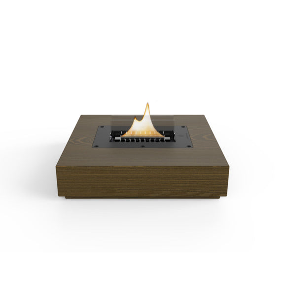 Fuoco da tavolo di agrifoglio