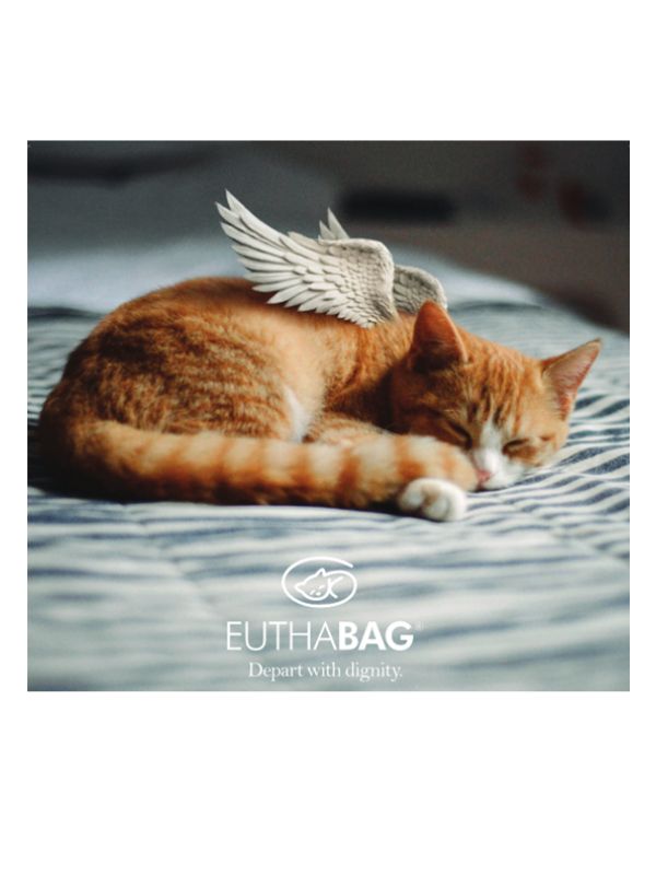 Euthabag body bag for animals