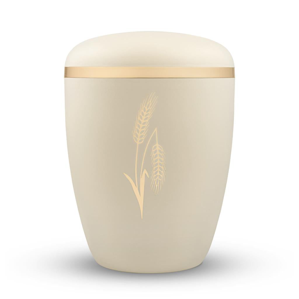 Spalt Urne Seashell Lackiert Naturstoff - 0