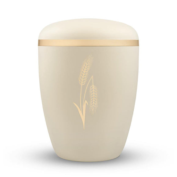 Spalt Urne Seashell Lackiert Naturstoff