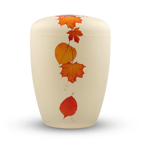 Spalt Urne Seashell Lackiert Naturstoff