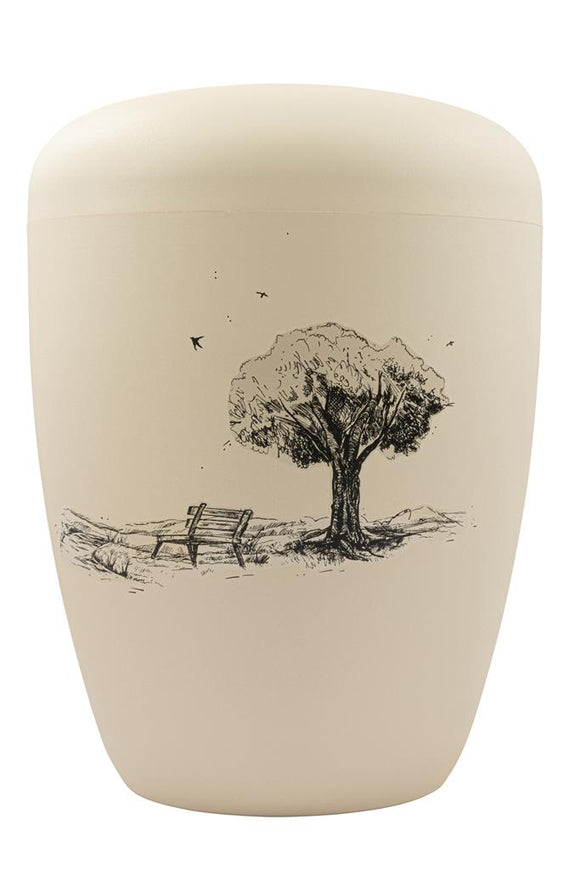 Spalt Urne Seashell Lackiert Naturstoff