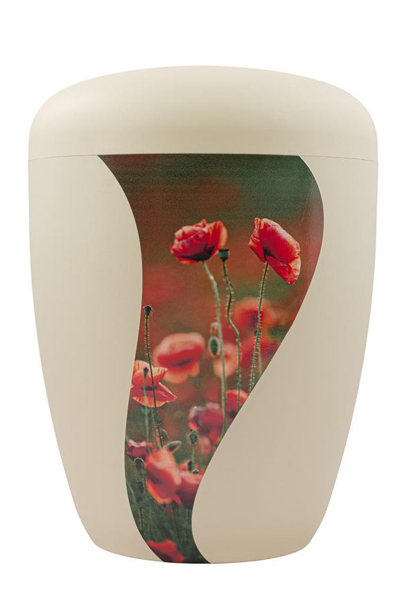 Spalt Urne Seashell Lackiert Naturstoff