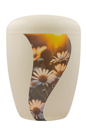 Spalt Urne Seashell Lackiert Naturstoff