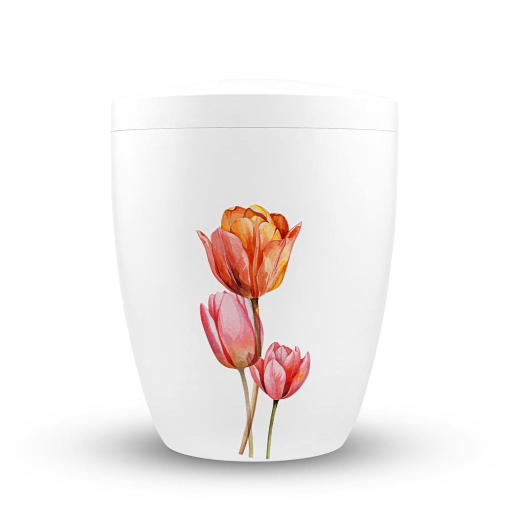 Buy tulpen Spalt urn white lacquered natural material