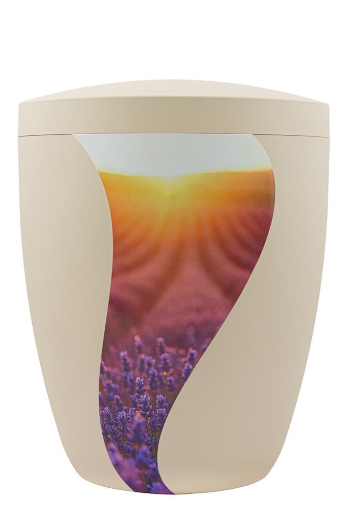 Kaufen foto-schwung-lavendel Spalt Urne Seashell Modern Naturstoff