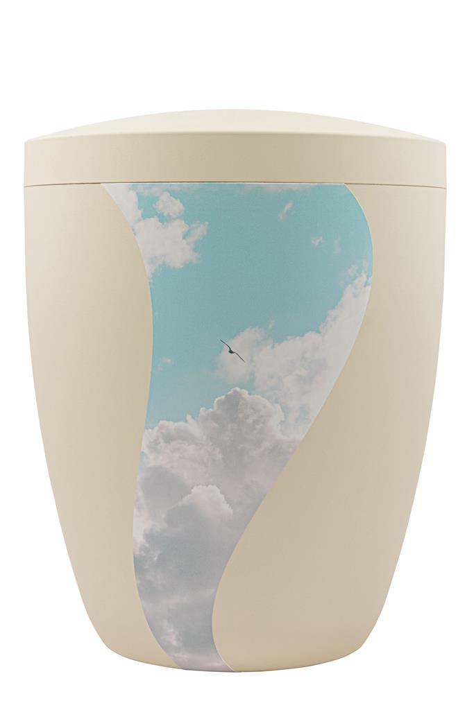 Kaufen foto-schwung-himmel-vogel Spalt Urne Seashell Modern Naturstoff