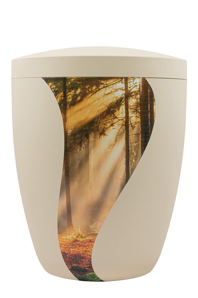 Kaufen foto-schwung-wald-sonne Spalt Urne Seashell Modern Naturstoff