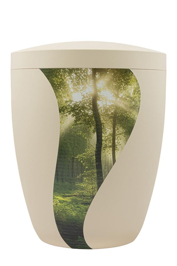 Spalt Urne Seashell Modern Naturstoff