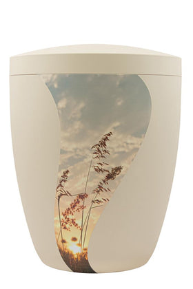 Spalt Urne Seashell Modern Naturstoff