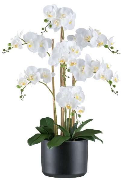 Pianta artificiale di orchidea