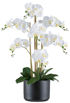 Orchidee Kunstpflanze deko