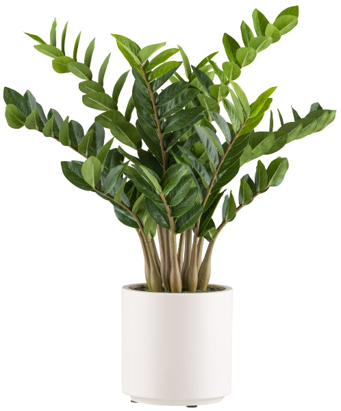 Zamioculcas zamiifolia planta artificial deco