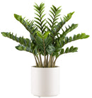 Zamioculcas zamiifolia planta artificial deco-1