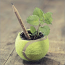 Sprout Bleistift mit Samenkapsel individuell bedruckt-3