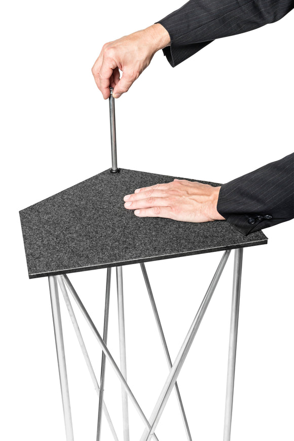 Spider Staffelei mit Bilderrahmen und Transporttaschen