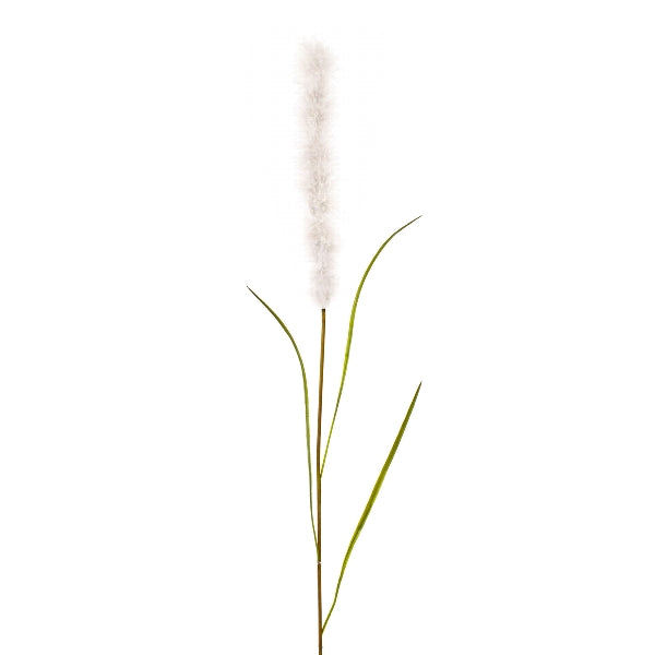 Kaufen pampasgras-102cm-weiss Zweige Kunstpflanze deko