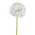 Allium 89cm blanco