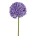 Allium 89cm morado