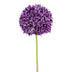 Allium 89cm morado