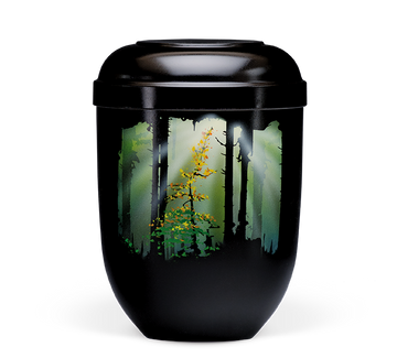 Heiso Classic Airbrush Motiv Bio Urne - 0