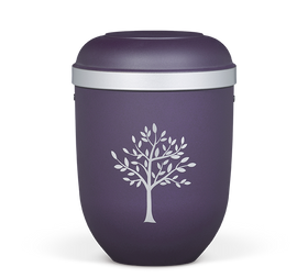 Urna classica Heiso con bordo in argento - 0