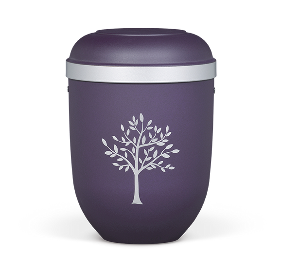 Urna bio Heiso Classic con borde plateado