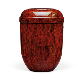Urna biologica Heiso Classic in legno di radica - 0