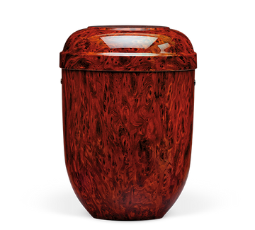 Heiso Classic Wurzelholzdesign Bio Urne - 0