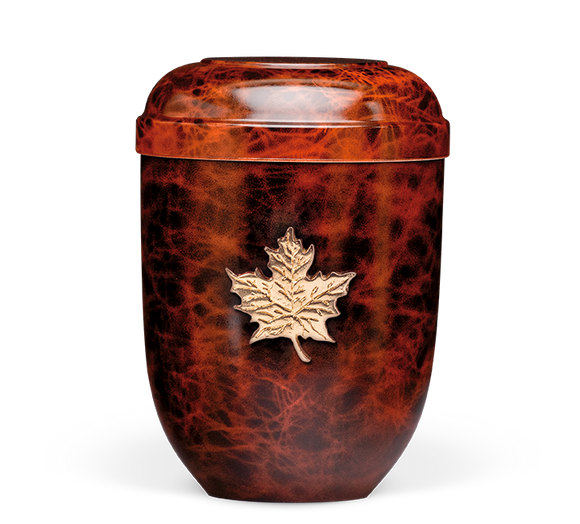 Urna biologica Heiso Classic in legno di radica