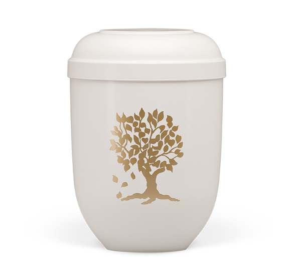 Urna Heiso Classic Bio