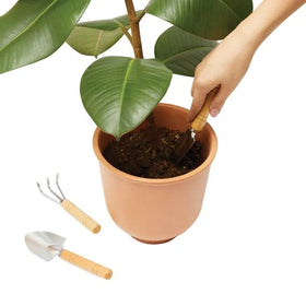 Lavabis Garten Set mit Baumwollbeutel individuell bedruckt - 0