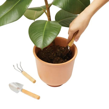 Lavabis Garten Set mit Baumwollbeutel individuell bedruckt - 0