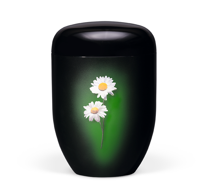Kaufen schwarz-margerite Heiso Elegance Blume Airbrush Bio Urne